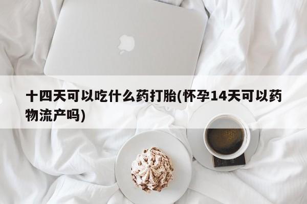 药流药怎么购买十四天可以吃什么药打胎(怀孕14天可以药物流产吗)